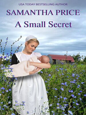 cover image of A Small Secret